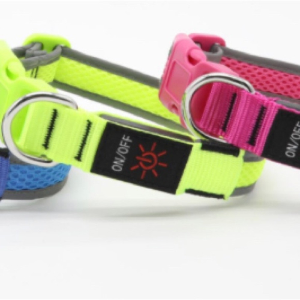Lighted Dog Collar 3 Settings / USB Charging - Picture 1 of 9